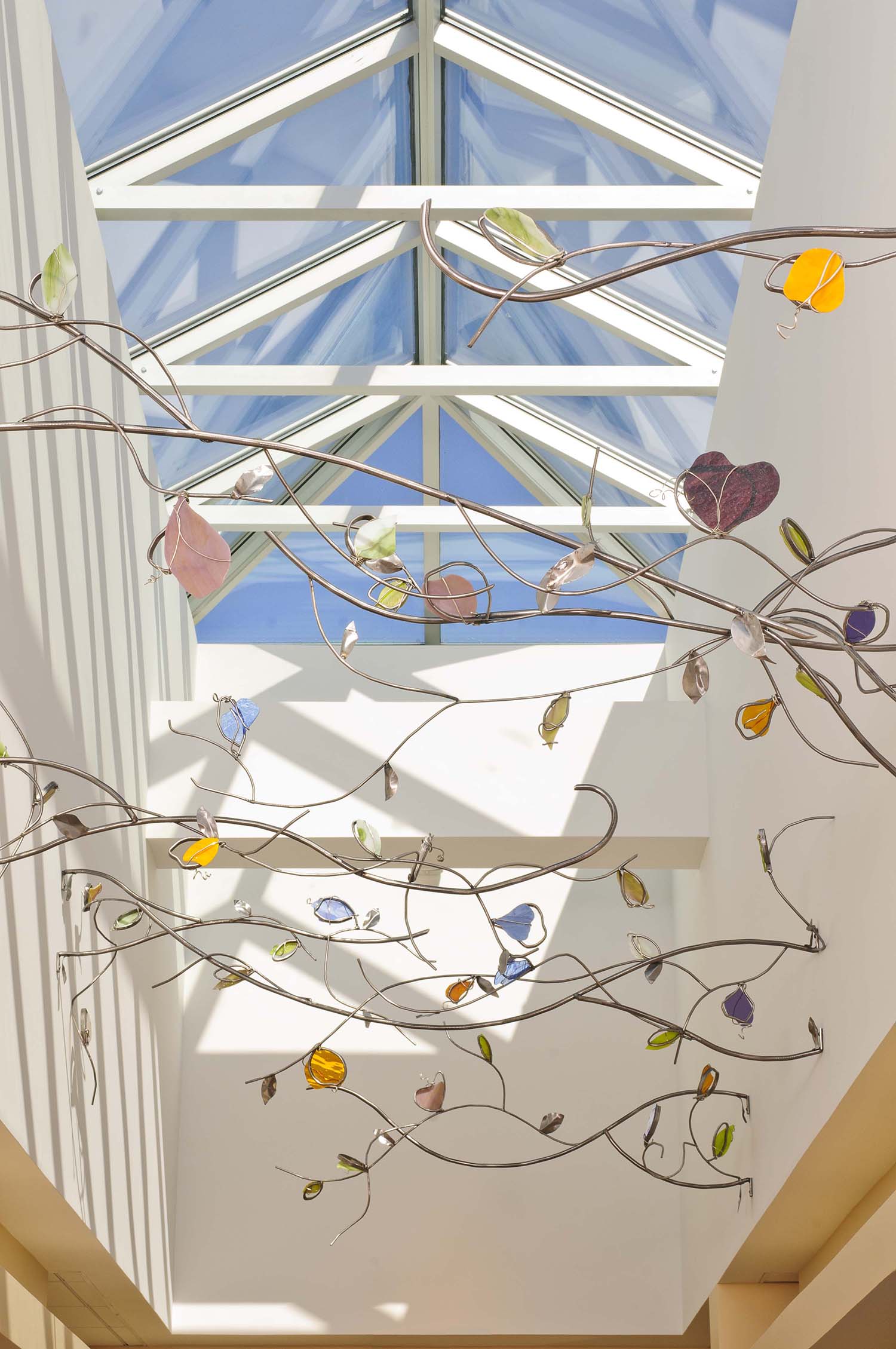 Winchester Hospital Cancer Care Center Commodore Builders