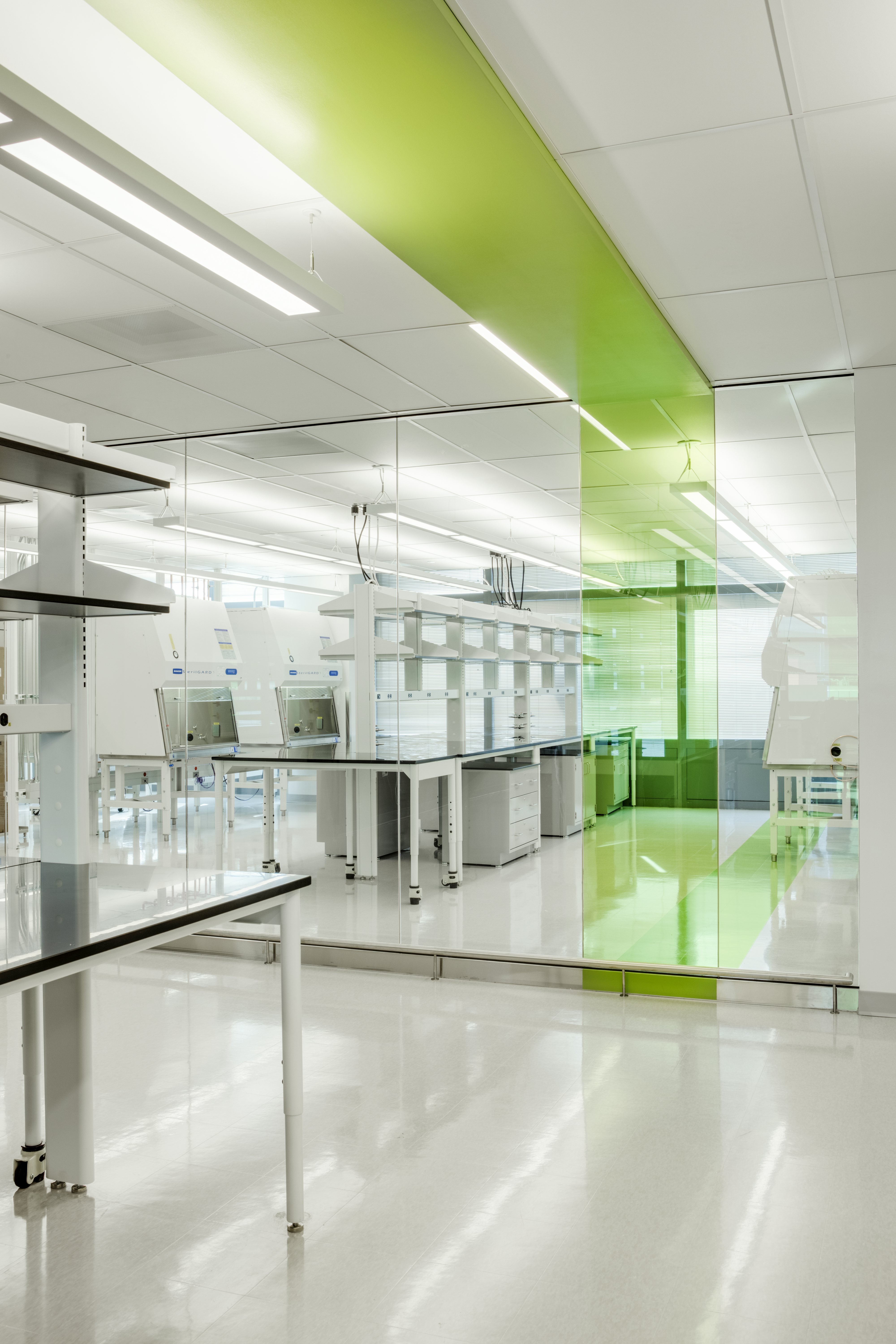 Biogen – Bio6A 5&6 Lab Renovation